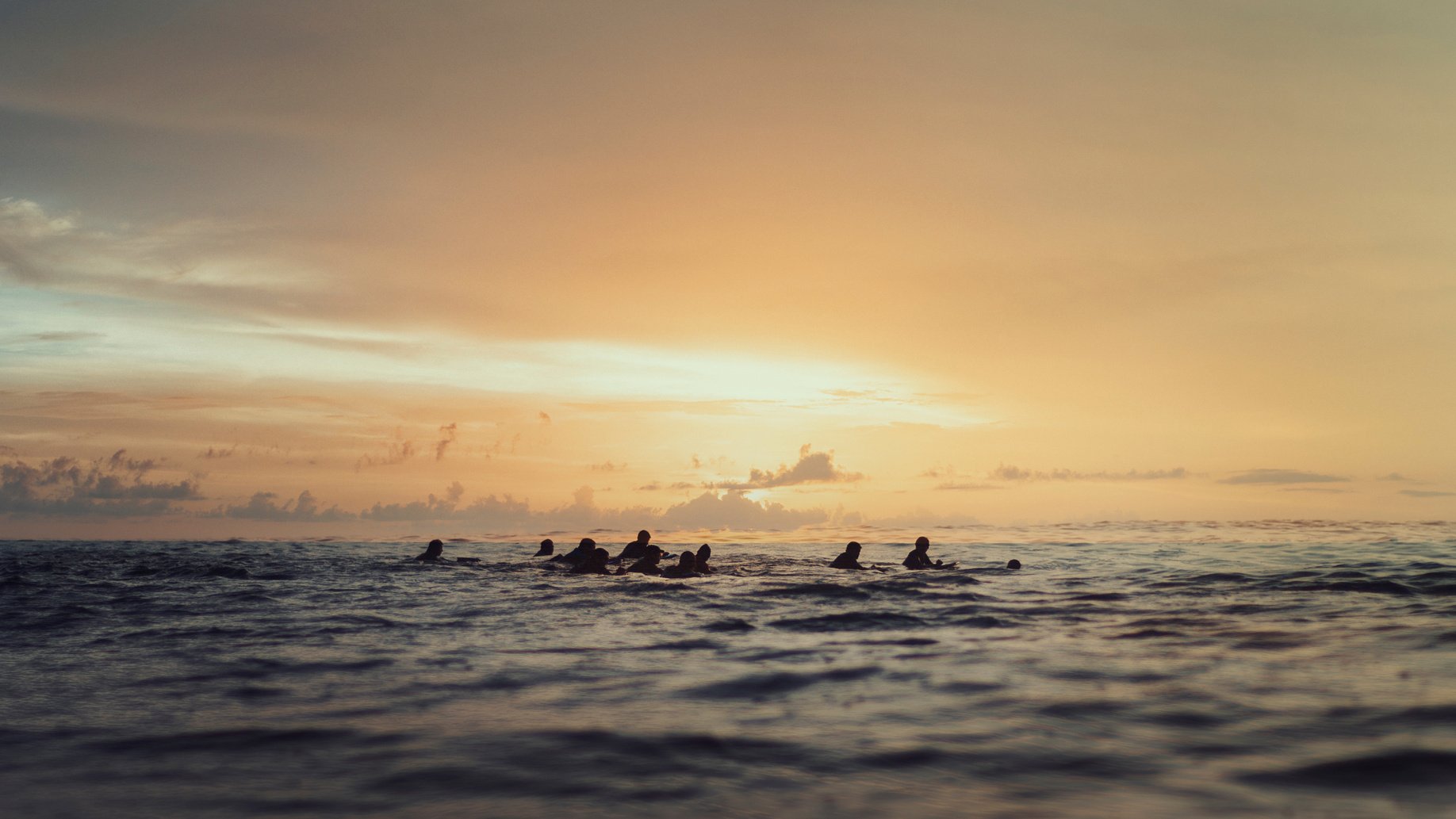 People Swimming on Ocean during Sunset